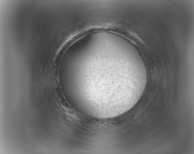 X0000064731256200603031632