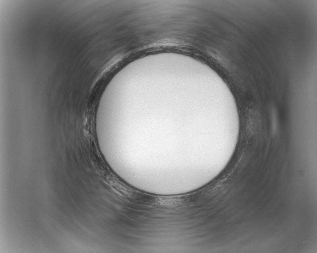 X0000064731258200603031632