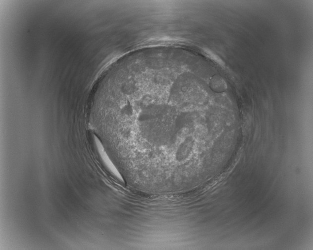 X0000064731259200603031632