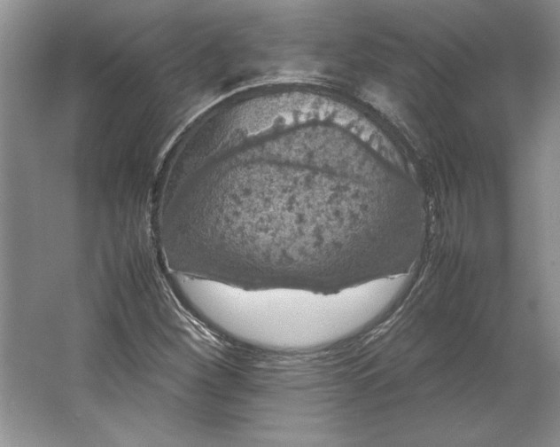 X0000064731260200603031632