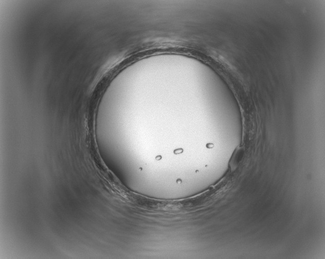 X0000064731261200603031632