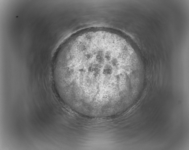 X0000064731263200603031632