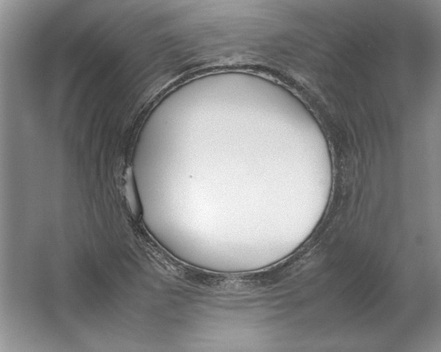 X0000064731265200603031632