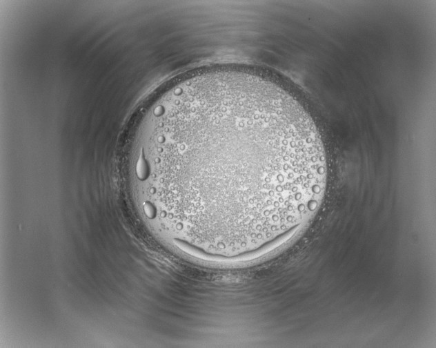 X0000064731266200603031632