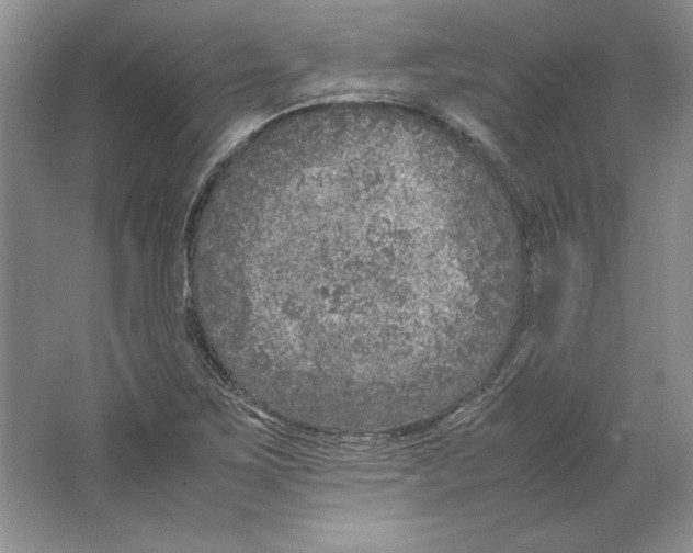 X0000064731267200603031632