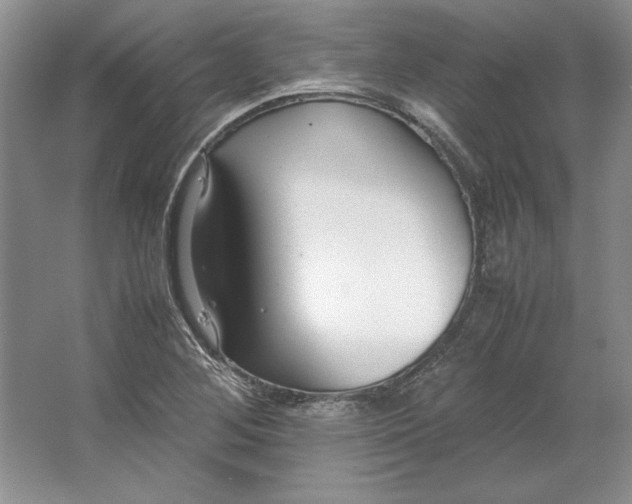 X0000064731268200603031632