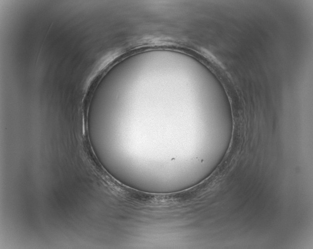 X0000064731269200603031632