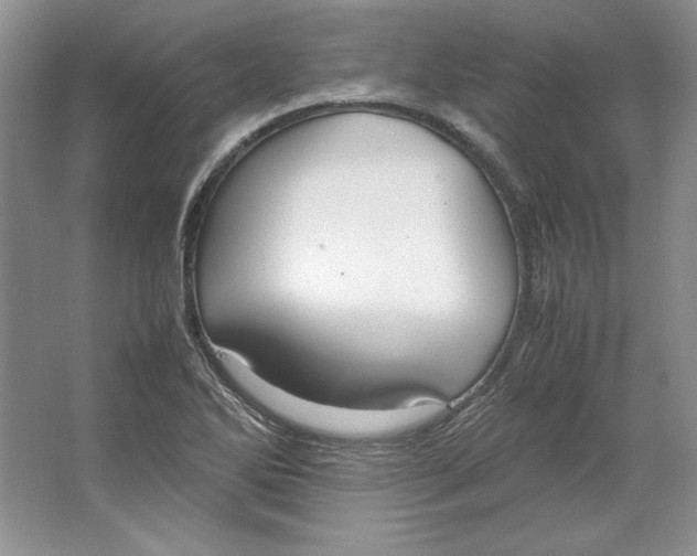 X0000064731270200603031632