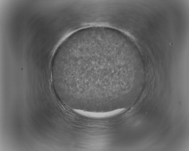 X0000064731271200603031632