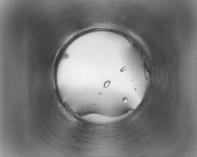 X0000064731272200603031632