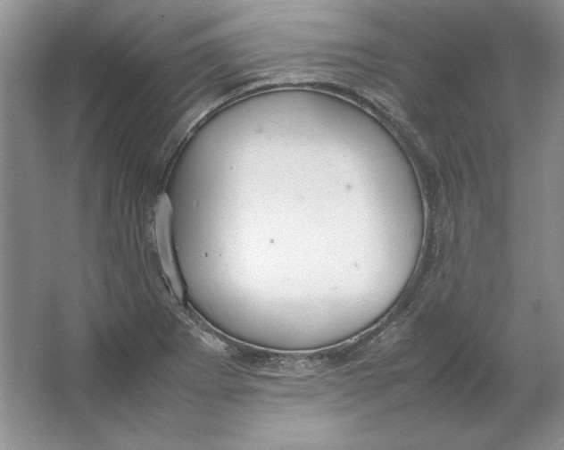 X0000064731273200603031632