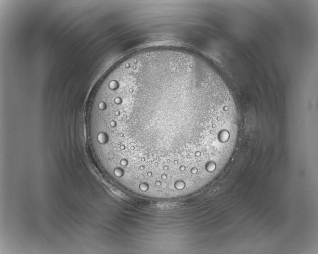 X0000064731274200603031632