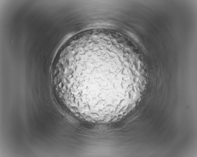 X0000064731275200603031632