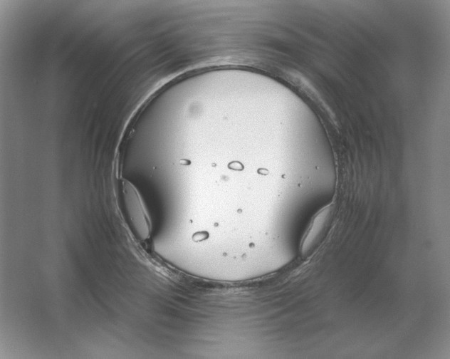 X0000064731276200603031632