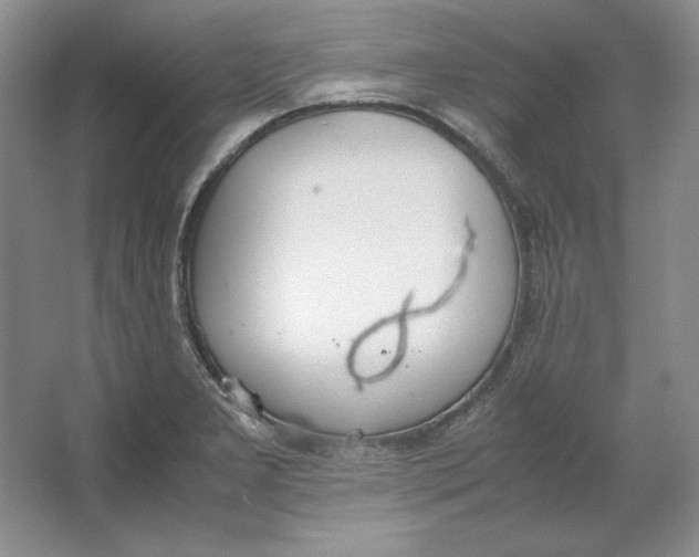 X0000064731277200603031632