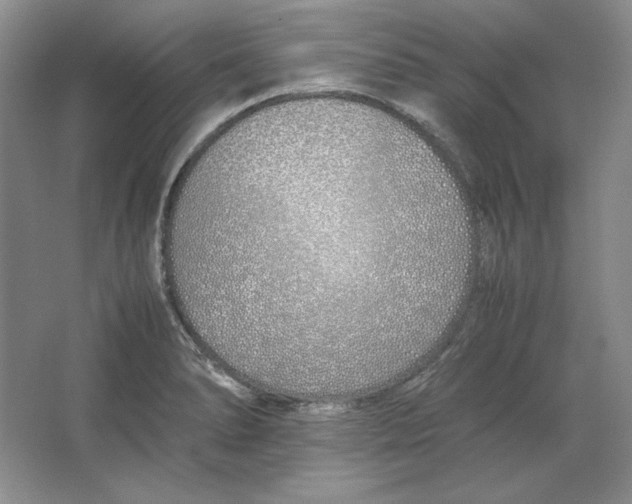 X0000064731278200603031632