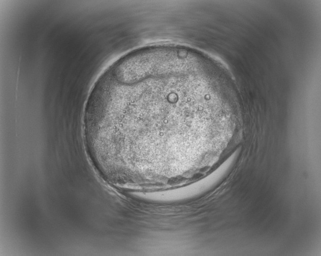 X0000064731279200603031632