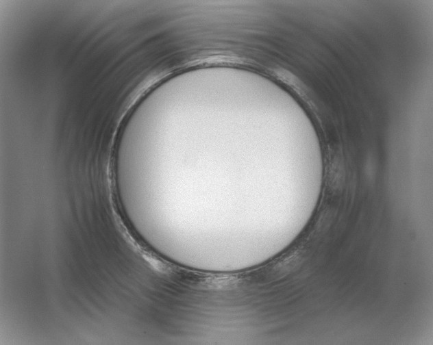 X0000064731282200603031632