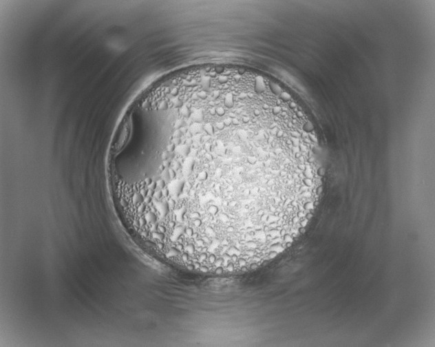 X0000064731283200603031632