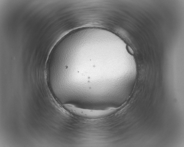 X0000064731284200603031632