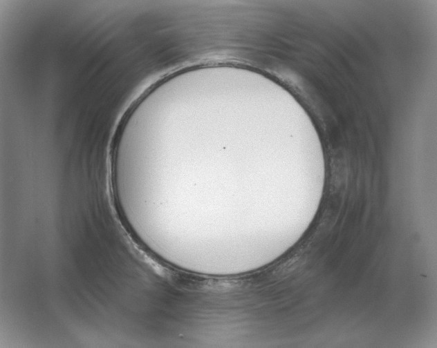 X0000064731286200603031632