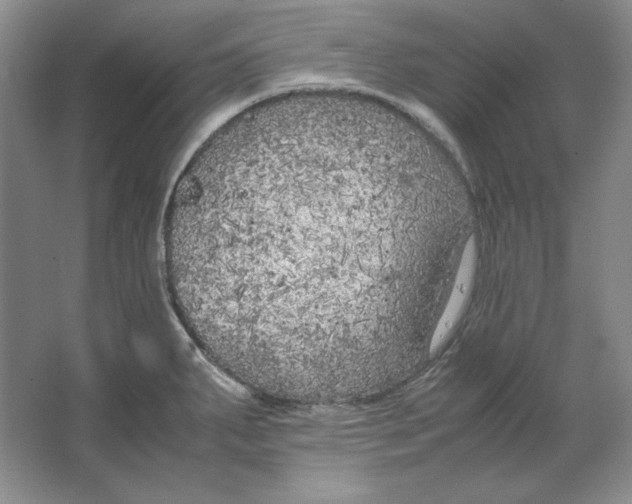 X0000064731287200603031632