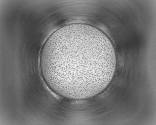 X0000064731290200603031632