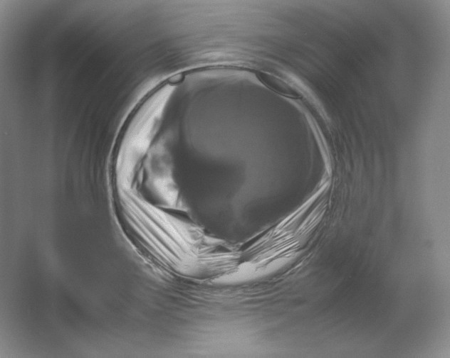 X0000064731291200603031632