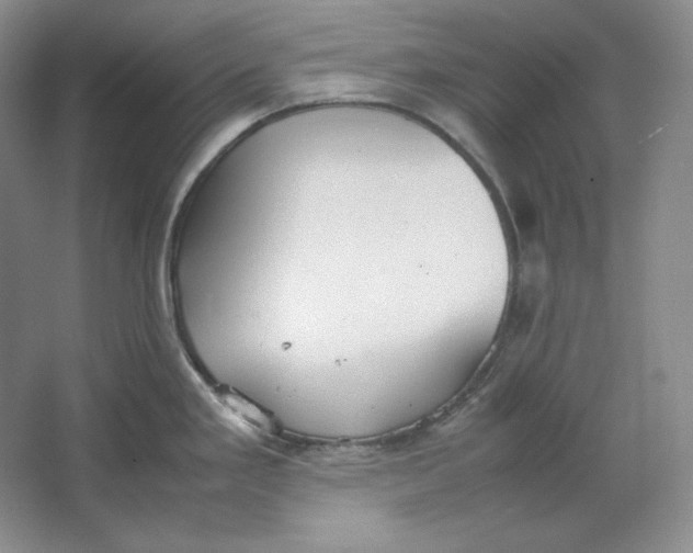 X0000064731293200603031632