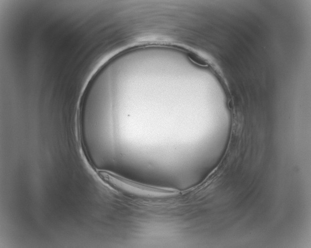 X0000064731295200603031632