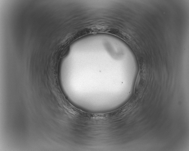 X0000064731297200603031631