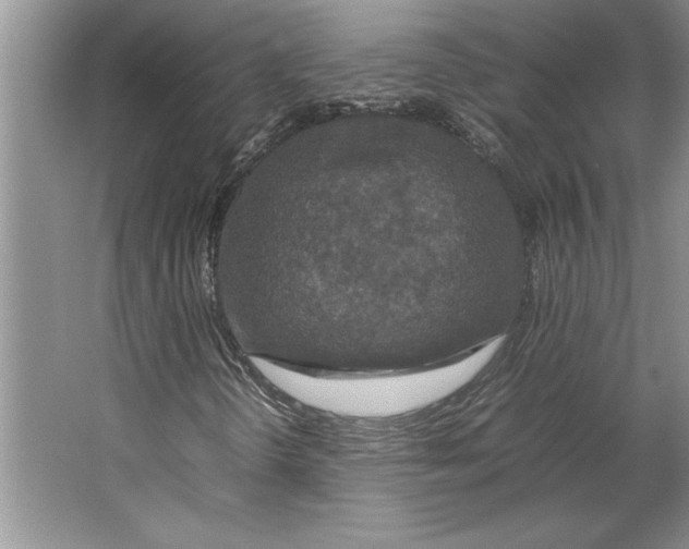 X0000064731298200603031631