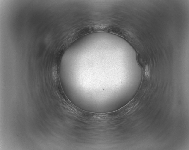 X0000064731299200603031631