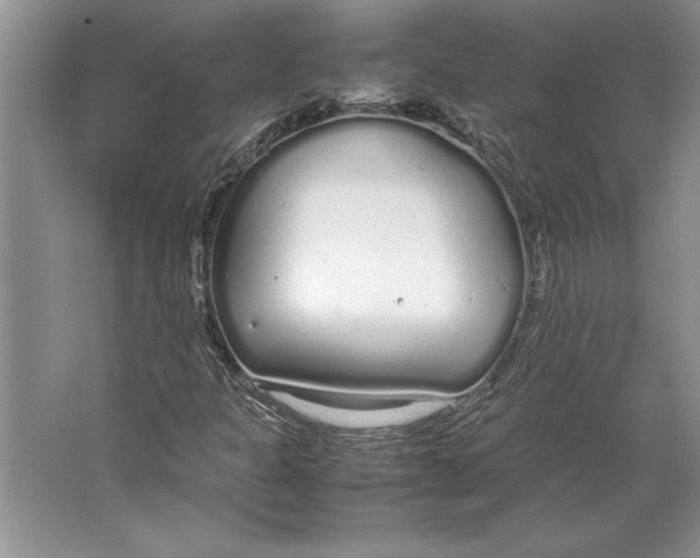 X0000064731301200603031631