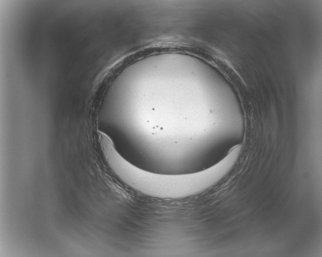 X0000064731304200603031631