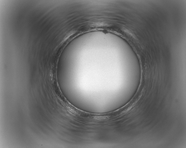 X0000064731305200603031631