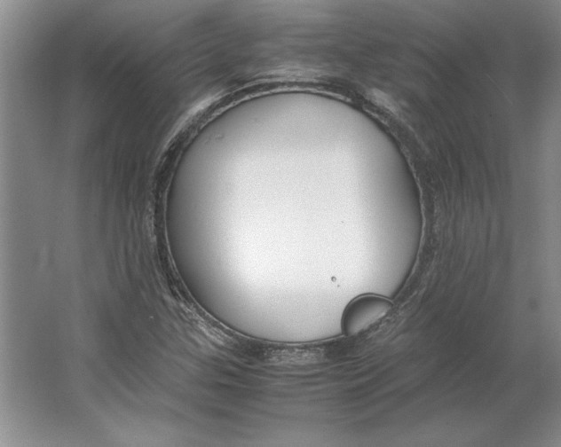 X0000064731307200603031631