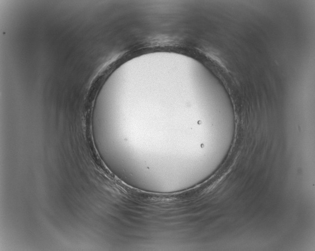 X0000064731309200603031631