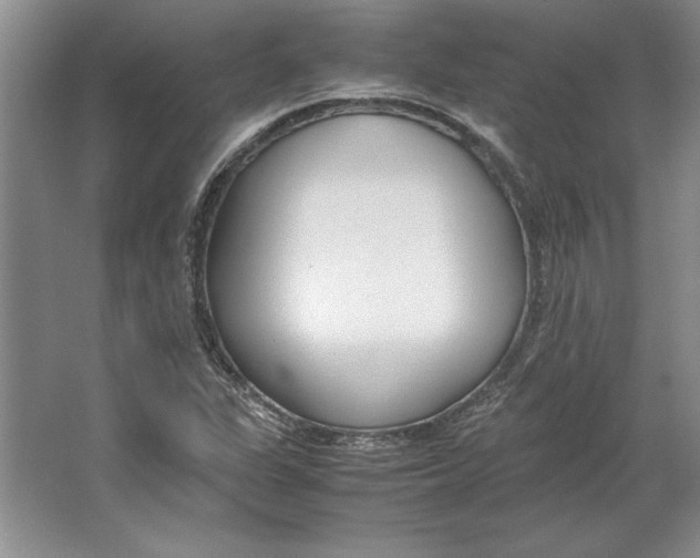 X0000064731311200603031631