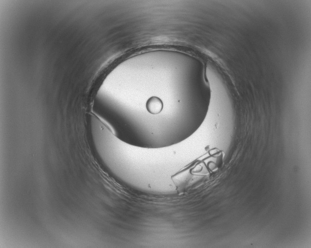 X0000064731314200603031631