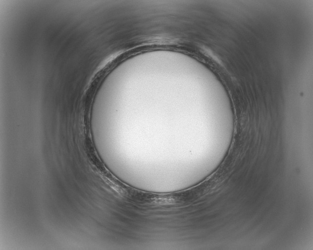 X0000064731315200603031631