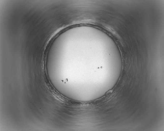 X0000064731316200603031631