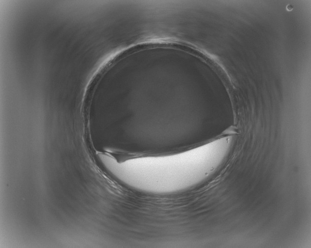 X0000064731319200603031631