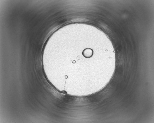 X0000064731322200603031631