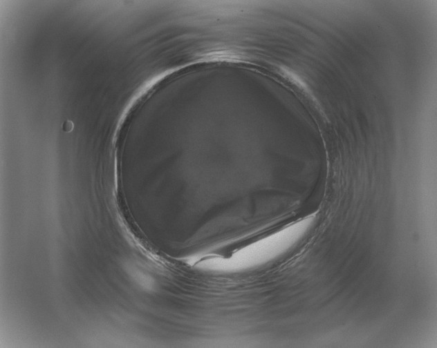 X0000064731323200603031631