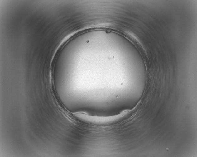 X0000064731324200603031631