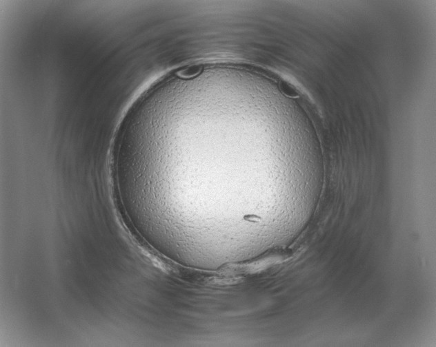 X0000064731325200603031631