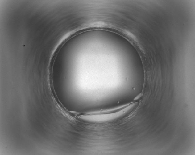 X0000064731326200603031631