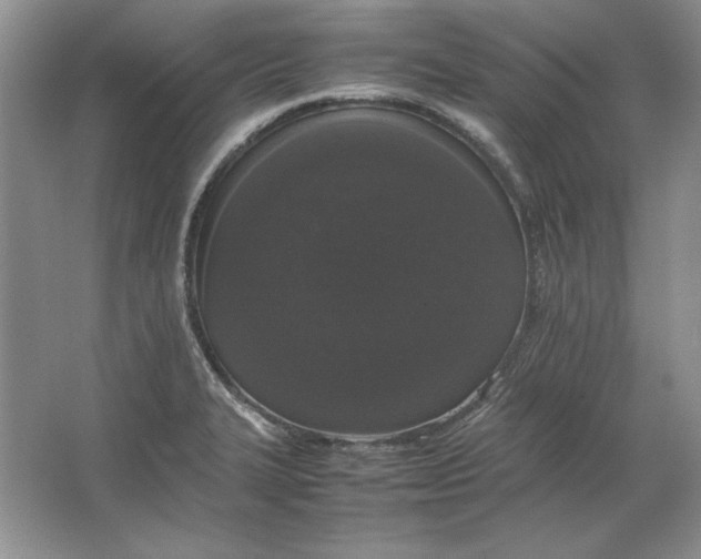 X0000064731327200603031631