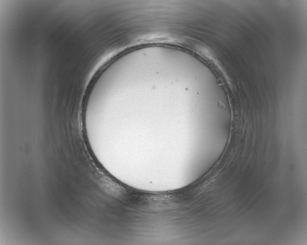 X0000064731328200603031631